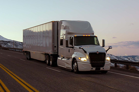 International Women's Day 2026: When is the Celebration?